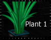 Aqua/blue plant