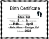 Custom Birth Certificate