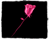 Pink Metal Rose (R-H)