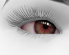 ember EYE