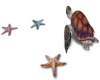 Island Turtle & Starfish