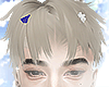 genki blonde