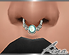 Fl Septum Ring