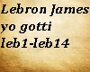 Lebron James Yo Gotti