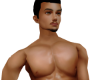 Skin v1