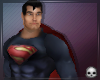 [T69Q] Superman Animated