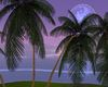 Green island