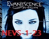 Evanescence-Bring-