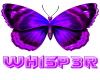 Whisper Butterfly