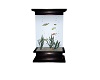 spring fish tank