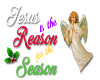 jesus is reason