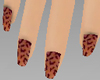 *T*Polish Leopard Dainty