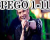 CH- REQ  MICHEL TELLO