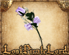 [LPL] Purple Rose for 1