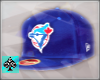 Toronto Blue Jays Fitted