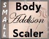 Body Scaler Addison S