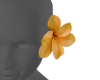 ⓦ CASTAWAY Flower 1