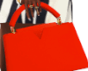 S. SCTR No. 9 Bag [L]