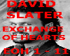 DAVID SLATER