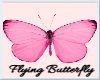 ZY: Flying Butterfly M/F