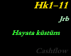 Cashflow - Hayata kustum