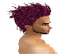 Purple Leo Hair