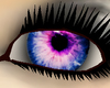 Lovely Purple Eyes