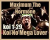 Maximum The Hormone 