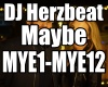 QSJ-DJ Herzbeat Maybe