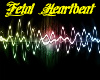 fetals heartbeat