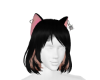Neko Black