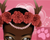 ~AM~ Shika Horns v2