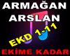 ARMAĞAN ARSLAN