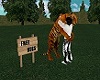 Tiger Love Hugs