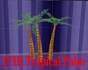 [VH] Tropical Palm