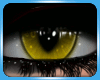 Demon eyes - Yellow