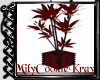 Black Red Plant 3