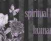 [Vv]Spiritual Journey