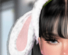 Rabbit Ears