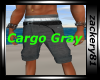 Cargo Gray Shorts New