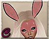 ¢| Latex Bunny Mask P