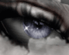 Purple Diamond Eyes