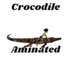 Aminated Croc