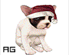 AG- Christmas Puppy