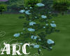 ARC Soft Blue Roses