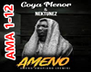 AMENO AMAPIANO (Remix)