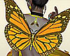 Buttercup Fairys Wings