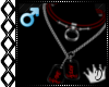 [] Jake's DogTags