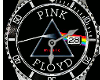 PINK FL0YD WATCH