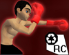 RC Fight Gloves